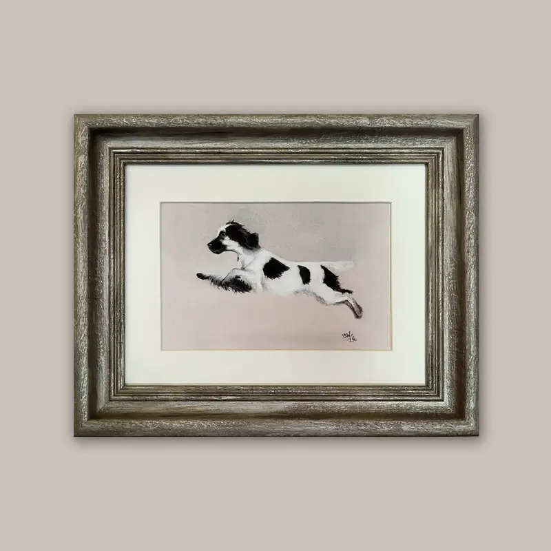 Happy Springer Spaniel - Framed Giclée Print